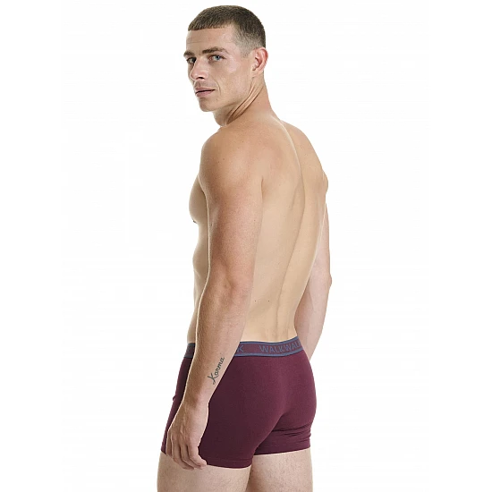 Ανδρικό βαμβακερό εσώρουχο Boxer 2Pack εξωτερικό λάστιχο Walk W1756-0327 ΜΠΛΕ ΣΚ-ΓΚΡΙ ΜΕΛ
