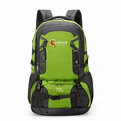 Σακίδιο πλάτης ορειβατικό Ταξιδιού Cardinal 856 70L πράσινο